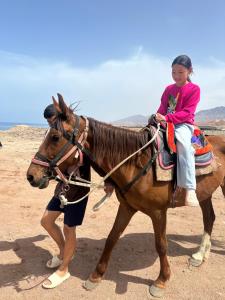 a young girl riding on a horse in the desert at Guesthouse'Hadicha' in Tong
