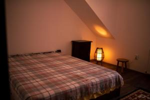 a bedroom with a bed and a lamp in a room at Cabana La Urși in Ceraşul