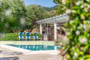 a pool with blue chairs and a pergola at Appartamenti Le Solane - Goelba in Marmi