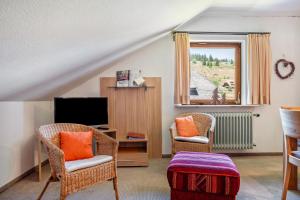 a living room with two chairs and a television at Ferienhaus Isele in Feldberg