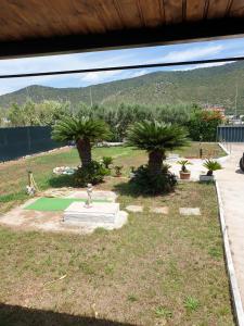a group of palm trees in a yard at Sperlonga ad un passo Casa Vacanza in Sperlonga