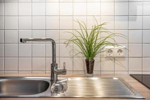 a kitchen sink with a plant in a vase at O'Schwarzwald in Münstertal +24 photos