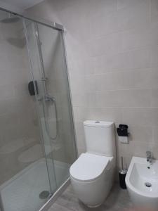 a bathroom with a shower and a toilet and a sink at Casa de la Soledad 3 in Lugo +3 photos