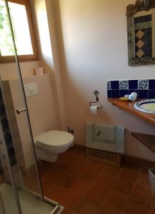 a bathroom with a toilet and a sink at Domaine Mariedal in Hauterives +16 photos