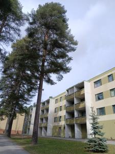two trees in front of an apartment building at Saimaa Parkview Luxury Suite in Savonlinna