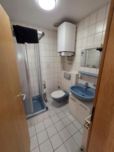 a bathroom with a toilet and a sink and a shower at Monteur-Apartment Kusel City in Kusel