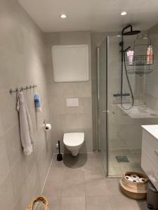 a bathroom with a toilet and a glass shower at Moderne toppleilighet i Bergen in Bergen