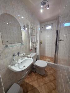 a bathroom with a sink and a toilet and a shower at Mewa House in Jastarnia