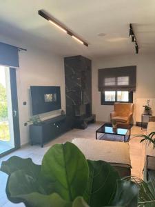 a living room with a couch and a table at Greenery Luxury Apartment in Potamós