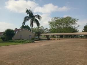 a palm tree in the middle of a parking lot at Matsapha Hotel in Mahlanya