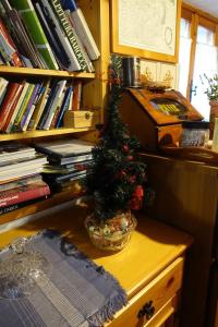 a small christmas tree in a bowl on a desk at Dolomiti Bellunesi in Belluno +33 photos
