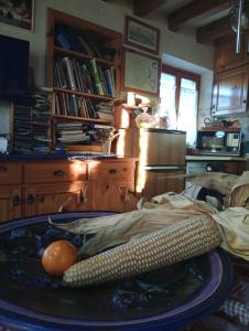 a kitchen with a bed with corn on it at Dolomiti Bellunesi in Belluno