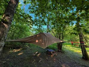 a tent hanging from a tree in the woods at Naawa Nature Camp in Korppoo +26 photos