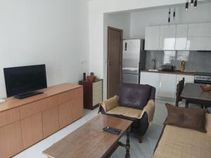 a living room with a television and a kitchen at Apartment Miki in Bar +2 photos