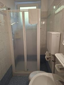 a bathroom with a shower and a toilet at Roda de Vael in Moena +33 photos