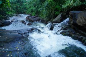 a stream of water in a river with rocks at River side in Vagamon +20 photos