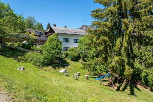 a yard with a white house in the background at Ferienhaus Isele in Feldberg