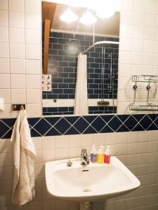 a bathroom with a sink and a mirror at Allsta Gård Kretsloppshuset B&B in Bjärtrå