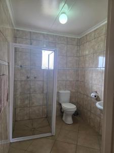 a bathroom with a shower with a toilet and a sink at Mountain Shadows Hotel in Barkly East +31 photos