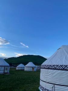 a group of three white tents in a field at Альфира in Dzhergalan