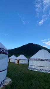 a group of four white tents in a field at Альфира in Dzhergalan