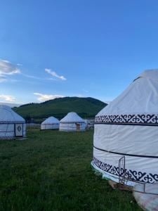 a group of white tents in a field at Альфира in Dzhergalan