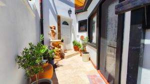a hallway with potted plants on the side of a building at Casa Fotografului in Constanţa