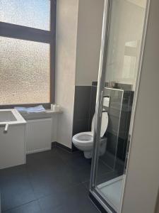 a bathroom with a toilet and a glass shower at Hotel Mosel Star in Bernkastel-Kues