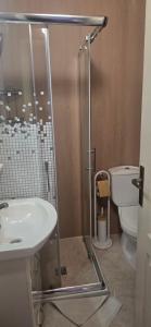 a bathroom with a shower and a sink and a toilet at Apartmani Furesti1 in Donji Stoliv