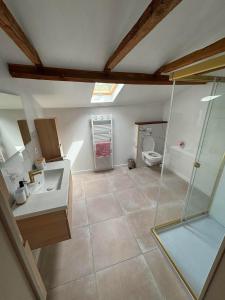 a bathroom with a shower and a sink and a toilet at Gîte La Vielle Forge in Virazeil +27 photos