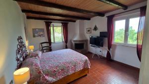 a bedroom with a bed and a tv and windows at Villa Matilda ad Ansedonia in Orbetello