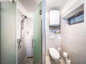 a bathroom with a toilet and a shower at Studio V Šachu by Interhome in Dačice