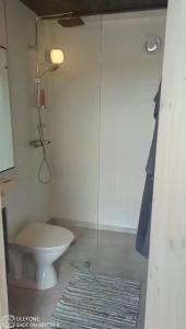 a bathroom with a toilet and a glass shower at Unique floating retreat Sleeps 4 in Sölvesborg