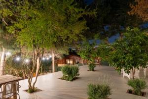 a row of trees in a park at night at Büyükada Apart Hotel in Adalar