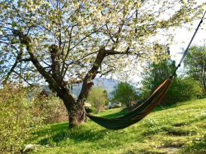 a hammock hanging from a tree in a field at Lyngtun in Ørskog