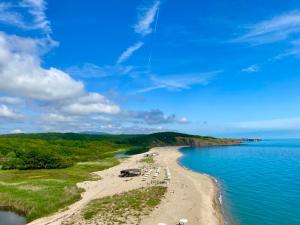 a beach with a bunch of animals on it at Нашата къща in Sinemorets