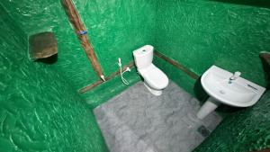 a green bathroom with a toilet and a sink at Wonderful Hostel Trincomalee in Trincomalee +29 photos