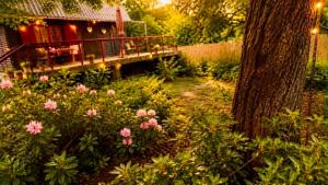 a garden with pink flowers and a tree at Bakancsos Kulcsosház in Dobogókő +10 photos