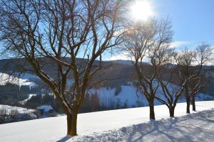 Φωτογραφία από το άλμπουμ του Zehna Hube σε Semriach +8 φωτογραφίες