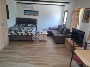 a living room with a bed and a couch at Apartmani Dumezic in Bar +38 photos