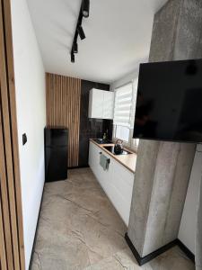 eine Küche mit weißen Schränken und einem schwarzen Kühlschrank in der Unterkunft Guben Wohnungen Sunny 2 in Guben