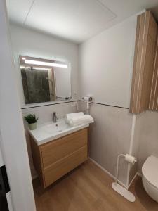 a bathroom with a sink and a toilet and a mirror at Chez EdGare in Liège +18 photos