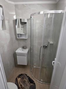 a bathroom with a shower and a toilet and a sink at Garden Terrace Apartment in Igalo