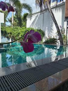 a purple flower sitting on top of a swimming pool at Ibis in Udawalawe