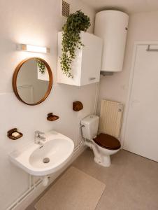 a bathroom with a sink and a toilet and a mirror at Studio - Pleine Mer - 1 avenue des Pays de Monts - 1-1 in Saint-Jean-de-Monts