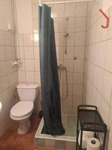 a bathroom with a shower with a toilet and a shower curtain at Pokoje gościnne in Lubniewice