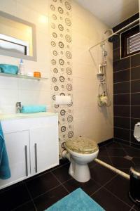 a bathroom with a toilet and a shower at Apartment Casa Sarajevo in Sarajevo