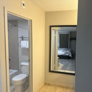 a bathroom with a toilet and a mirror at Red Roof Inn Media, PA in Media