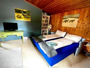 a bedroom with a bed and a desk and a tv at Jacobs Stuga in Furudal