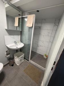 a bathroom with a shower and a sink at Casa Tua An der Weinstraße 2 in Neustadt an der Weinstraße +26 photos